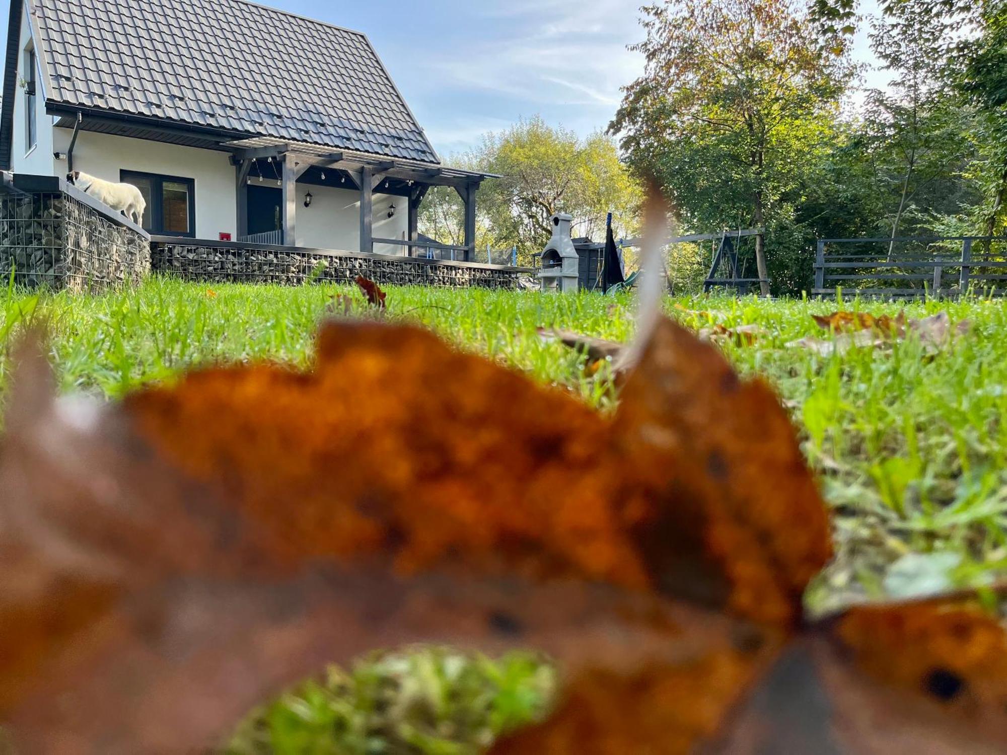 Domki Nad Starym Potokiem Устшики-Дольне Экстерьер фото